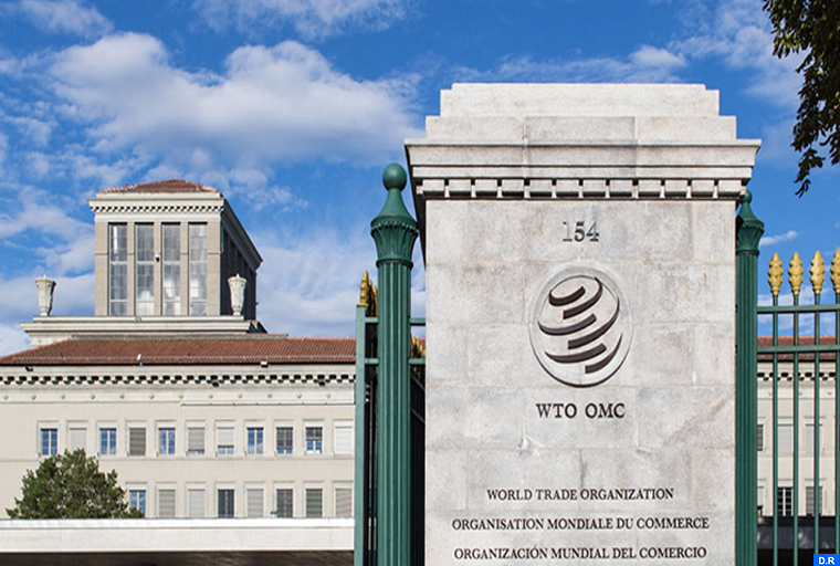 La nouvelle DG de l’OMC appelle à débloquer les négociations sur la pêche