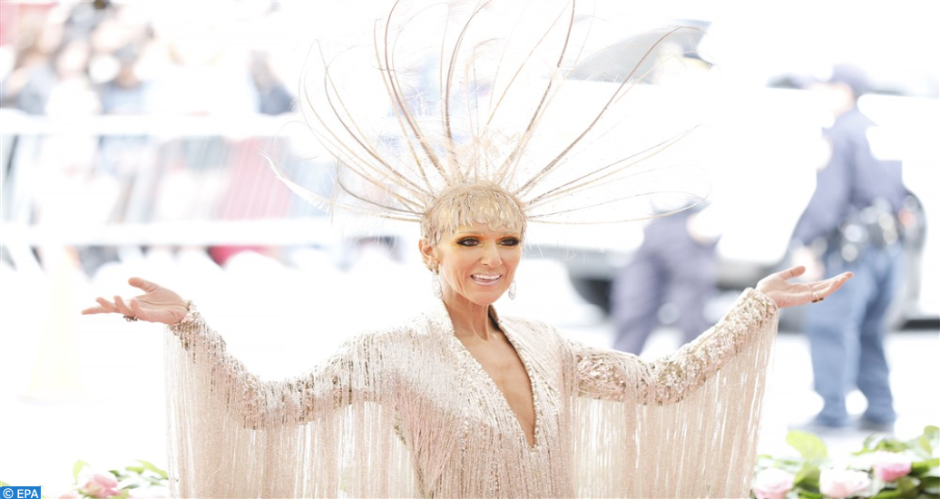 Céline Dion annule sa tournée mondiale pour des raisons de santé